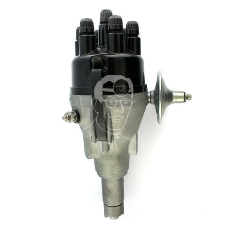 DMBZ6A DISTRIBUTOR 6  CYLINDER